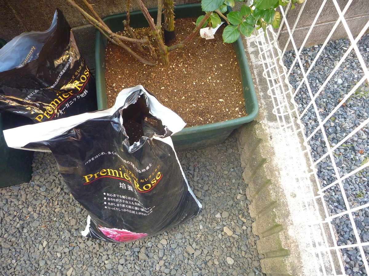 f:id:verandarosegarden:20200504192823j:plain f:id:verandarosegarden:20200504192823j:plain