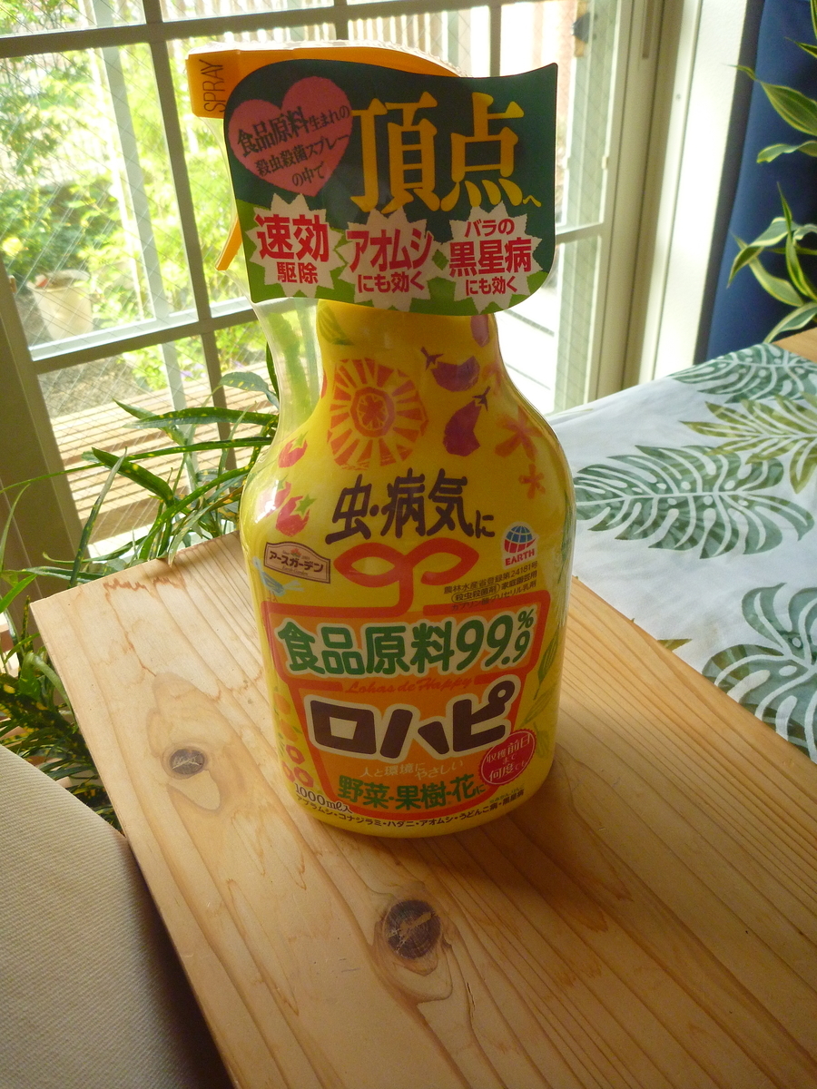 f:id:verandarosegarden:20200504193351j:plain