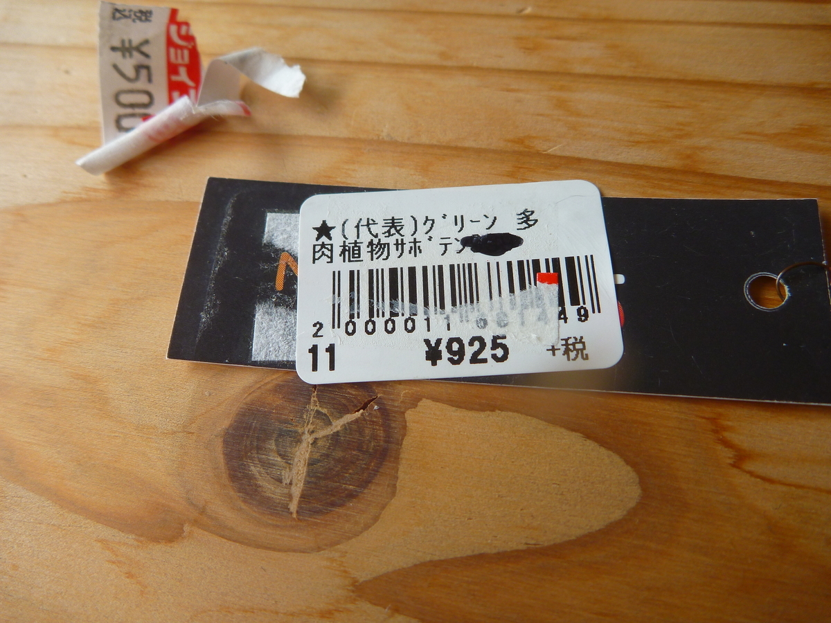 f:id:verandarosegarden:20200530212532j:plain f:id:verandarosegarden:20200530212532j:plain