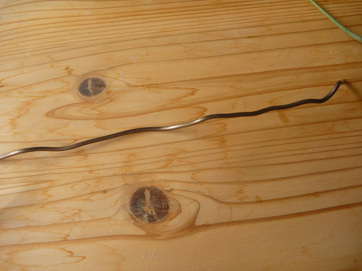 f:id:verandarosegarden:20200530213100j:plain f:id:verandarosegarden:20200530213100j:plain