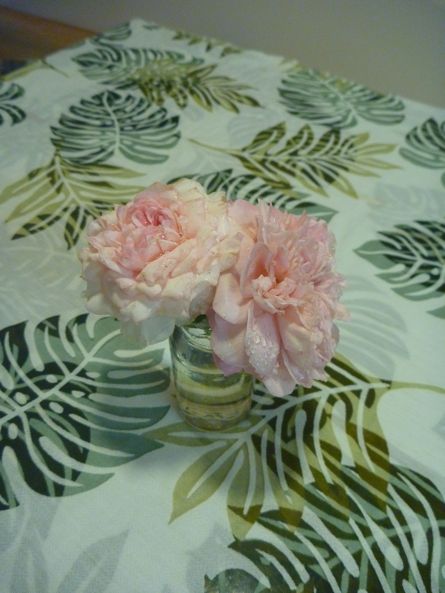 f:id:verandarosegarden:20200613194537j:plain f:id:verandarosegarden:20200613194537j:plain