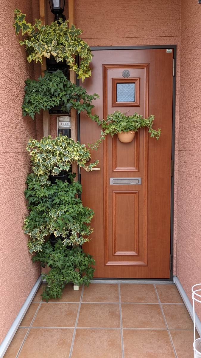 f:id:verandarosegarden:20210607181119j:plain