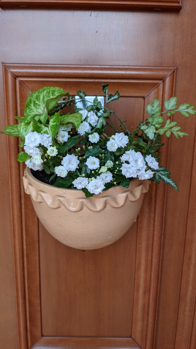 f:id:verandarosegarden:20210607182135j:plain