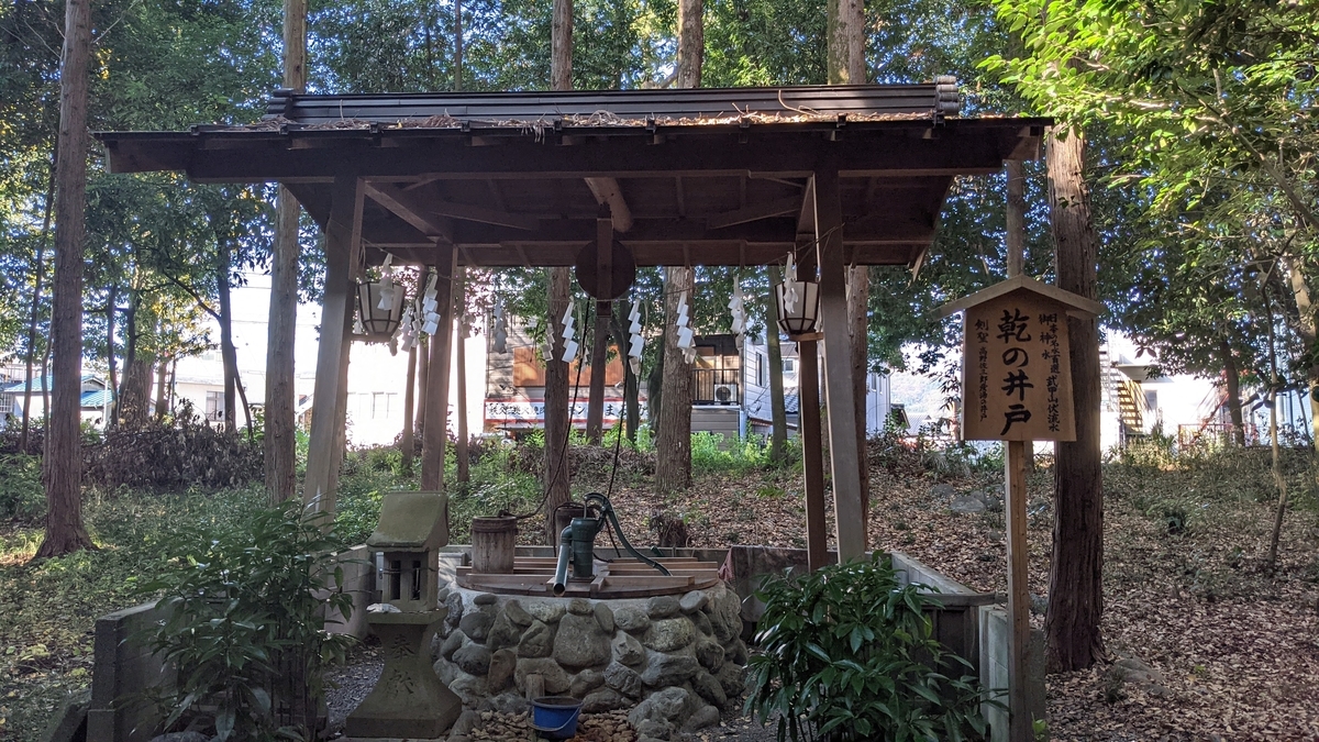 f:id:verandarosegarden:20211116154446j:plain