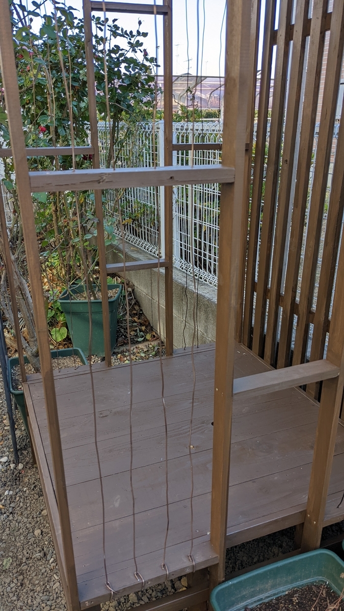 f:id:verandarosegarden:20220103162012j:plain