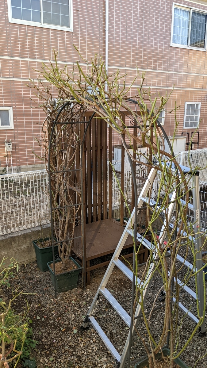 f:id:verandarosegarden:20220103162218j:plain