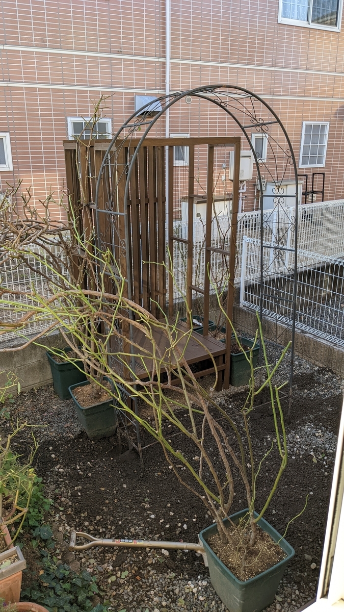 f:id:verandarosegarden:20220103163922j:plain
