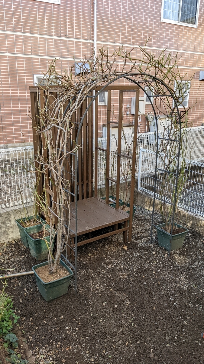 f:id:verandarosegarden:20220103163948j:plain