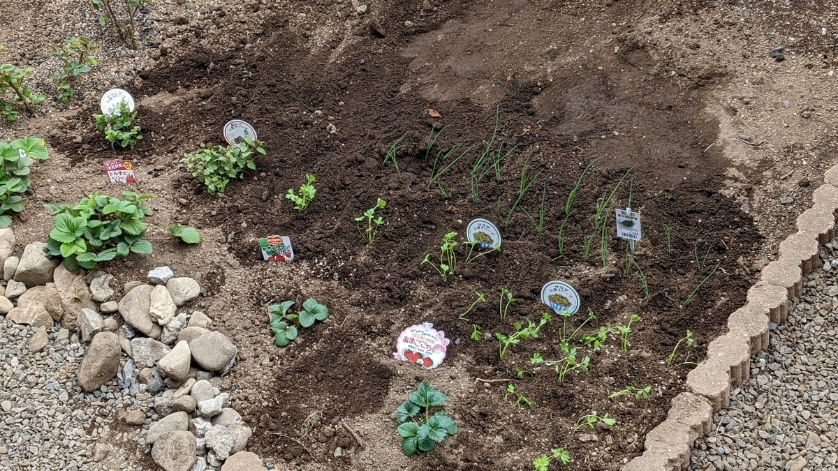 f:id:verandarosegarden:20220326175014j:plain