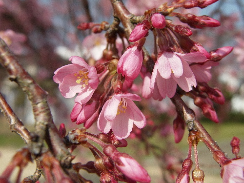 f:id:verdawings:20190517230055j:plain f:id:verdawings:20190517230055j:plain