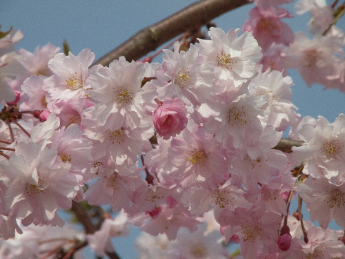 f:id:verdawings:20190523225549j:plain f:id:verdawings:20190523225549j:plain