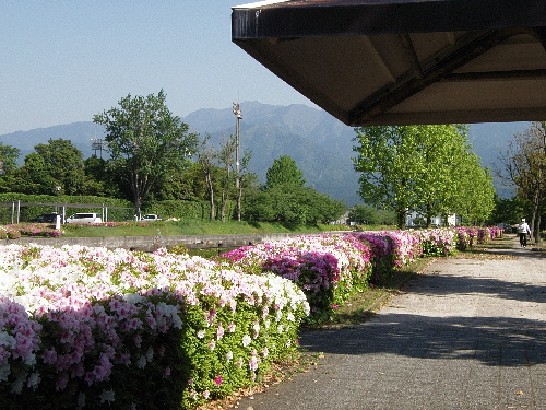 f:id:verdawings:20190613000631j:plain f:id:verdawings:20190613000631j:plain