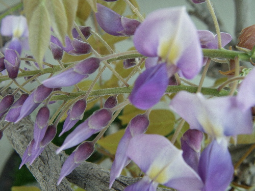 f:id:verdawings:20190616010354j:plain f:id:verdawings:20190616010354j:plain