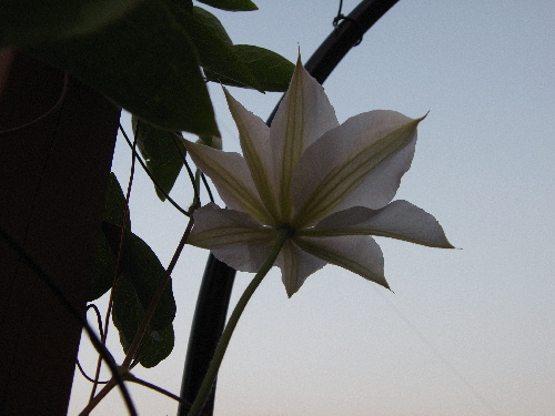 f:id:verdawings:20190824181909j:plain f:id:verdawings:20190824181909j:plain