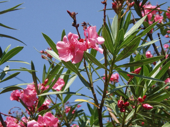f:id:verdawings:20190909234857j:plain f:id:verdawings:20190909234857j:plain
