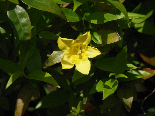 f:id:verdawings:20191006220407j:plain f:id:verdawings:20191006220407j:plain