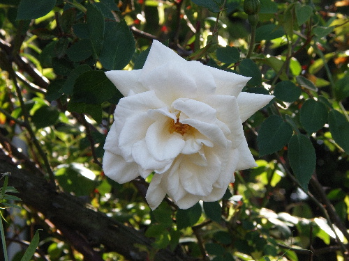 f:id:verdawings:20191011211547j:plain f:id:verdawings:20191011211547j:plain