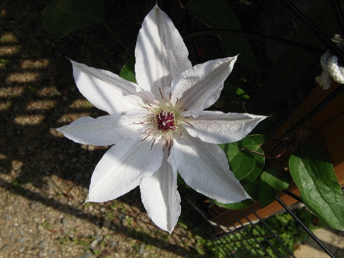 f:id:verdawings:20191015154753j:plain f:id:verdawings:20191015154753j:plain