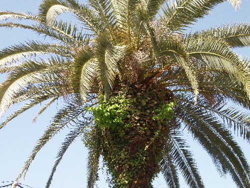 f:id:verdawings:20191020135344j:plain f:id:verdawings:20191020135344j:plain