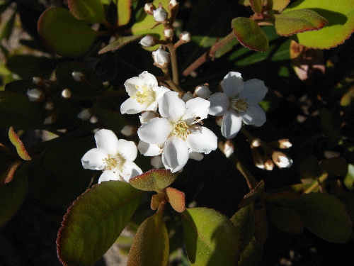 f:id:verdawings:20191024135552j:plain f:id:verdawings:20191024135552j:plain