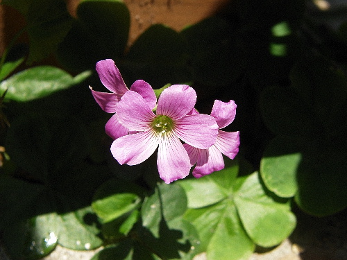 f:id:verdawings:20191107211617j:plain f:id:verdawings:20191107211617j:plain