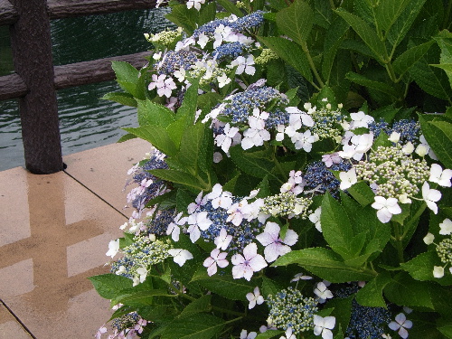 f:id:verdawings:20191114223908j:plain f:id:verdawings:20191114223908j:plain