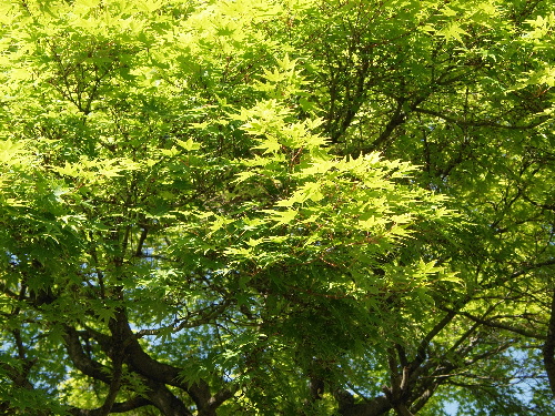 f:id:verdawings:20191201215057j:plain f:id:verdawings:20191201215057j:plain