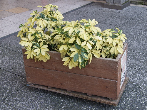 f:id:verdawings:20191205231645j:plain f:id:verdawings:20191205231645j:plain