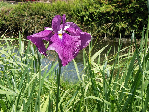 f:id:verdawings:20191209215636j:plain f:id:verdawings:20191209215636j:plain