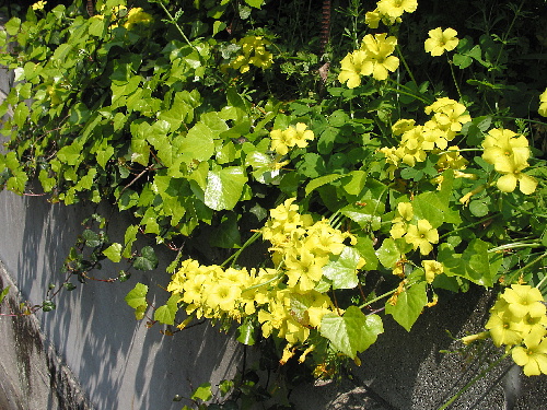 f:id:verdawings:20191222170130j:plain f:id:verdawings:20191222170130j:plain