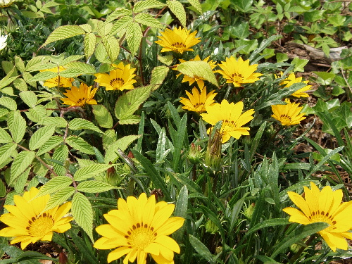 f:id:verdawings:20200103171643j:plain f:id:verdawings:20200103171643j:plain