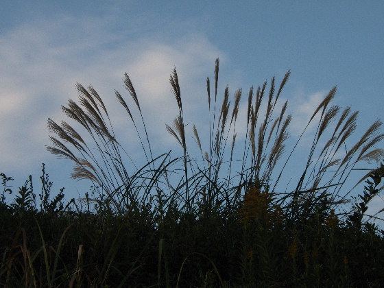 f:id:verdawings:20200108222922j:plain f:id:verdawings:20200108222922j:plain