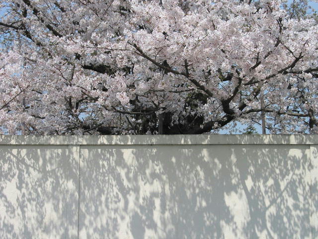 f:id:verdawings:20200406162334j:plain f:id:verdawings:20200406162334j:plain