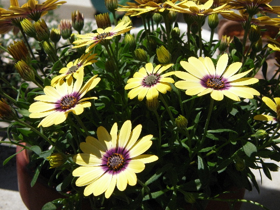f:id:verdawings:20200619173726j:plain f:id:verdawings:20200619173726j:plain