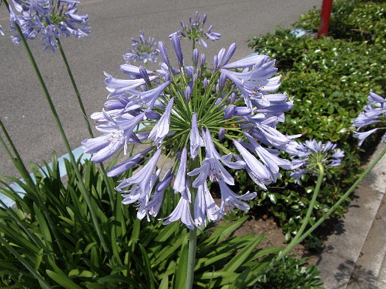 f:id:verdawings:20200719233039j:plain f:id:verdawings:20200719233039j:plain
