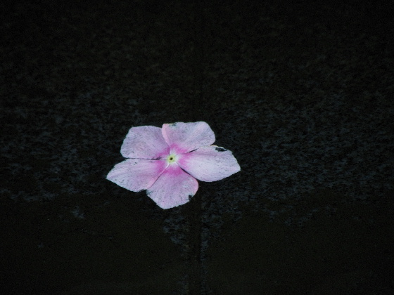 f:id:verdawings:20201006165219j:plain f:id:verdawings:20201006165219j:plain