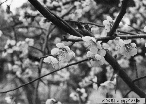 f:id:verdawings:20210305232800j:plain