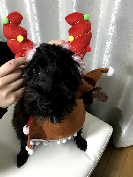 f:id:veritas-llc:20171228205111j:plain f:id:veritas-llc:20171228205111j:plain