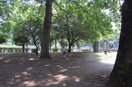 f:id:versaloft:20110808143938j:image f:id:versaloft:20110808143938j:image