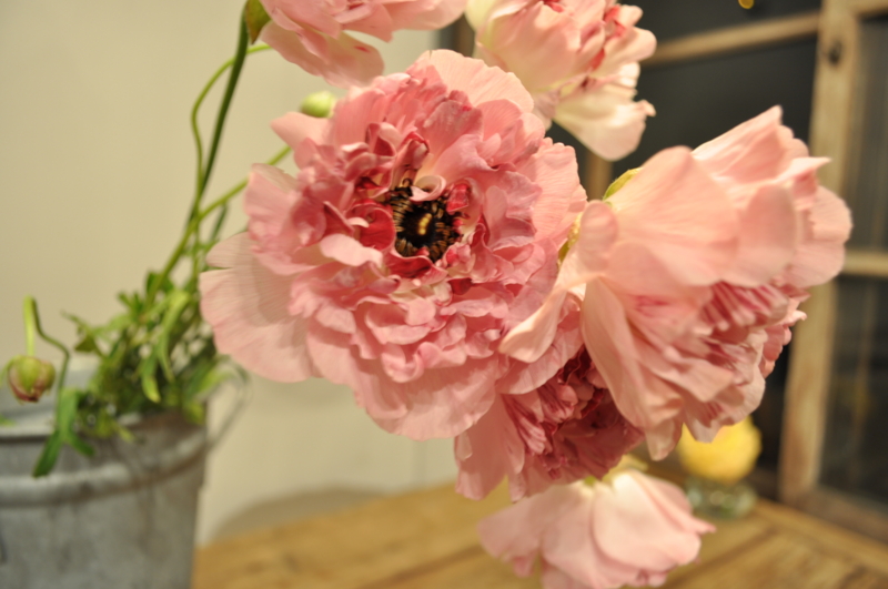 f:id:vertdegris87:20110409190410j:image f:id:vertdegris87:20110409190410j:image