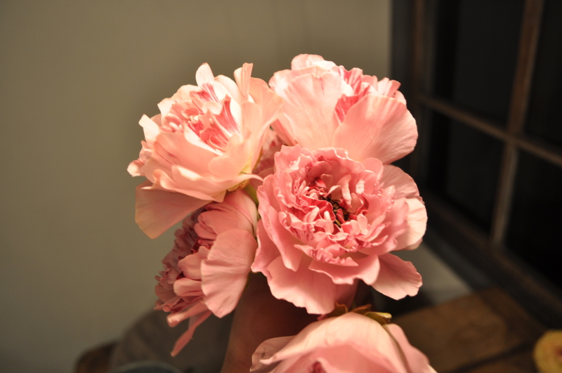 f:id:vertdegris87:20110409190502j:image f:id:vertdegris87:20110409190502j:image