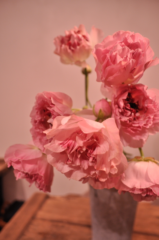 f:id:vertdegris87:20110409190559j:image f:id:vertdegris87:20110409190559j:image