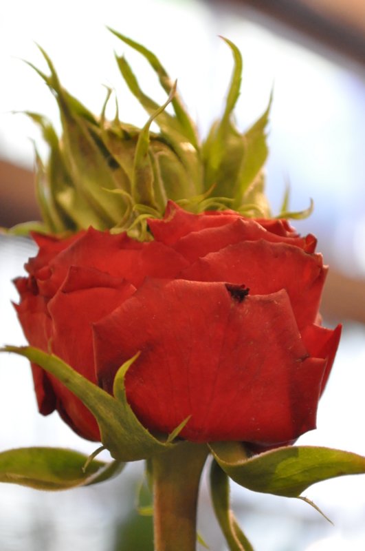 f:id:vertdegris87:20120229162513j:image:w360:right f:id:vertdegris87:20120229162513j:image:w360:right