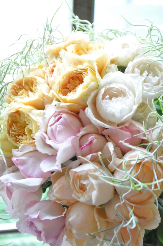 f:id:vertdegris87:20120919151359j:image:w340:right f:id:vertdegris87:20120919151359j:image:w340:right