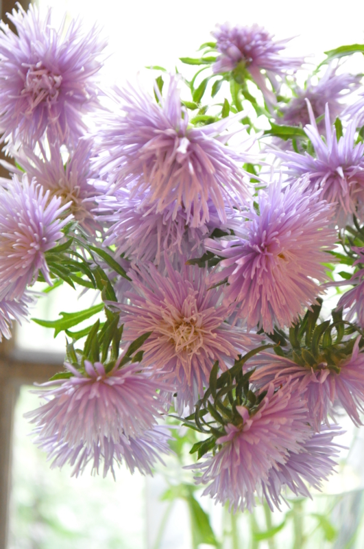 f:id:vertdegris87:20120919164933j:image:w340:right f:id:vertdegris87:20120919164933j:image:w340:right