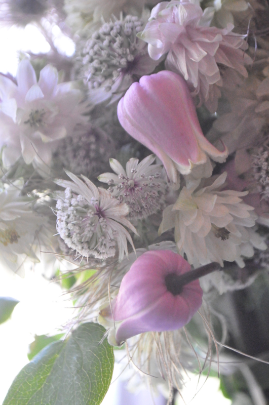 f:id:vertdegris87:20130521164936j:image:w340:right f:id:vertdegris87:20130521164936j:image:w340:right