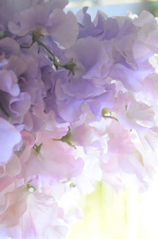 f:id:vertdegris87:20131202153905j:image:w360:right