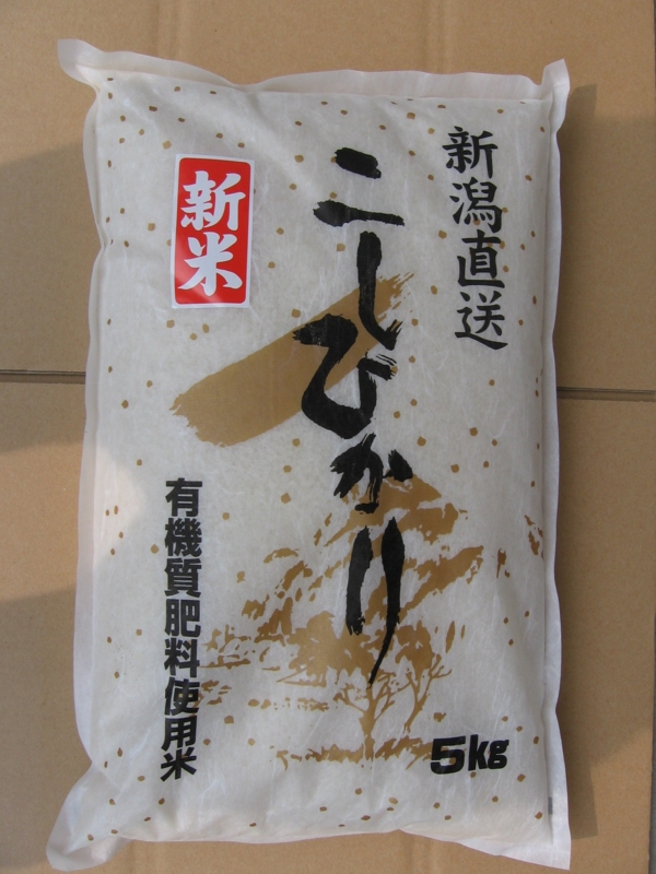 f:id:verticillate:20300222002503j:image f:id:verticillate:20300222002503j:image