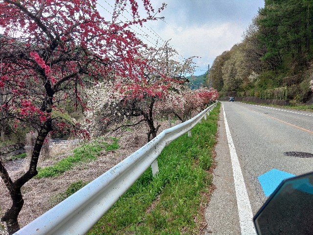 f:id:verver650:20260506171711j:image