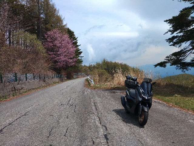 f:id:verver650:20260506171737j:image